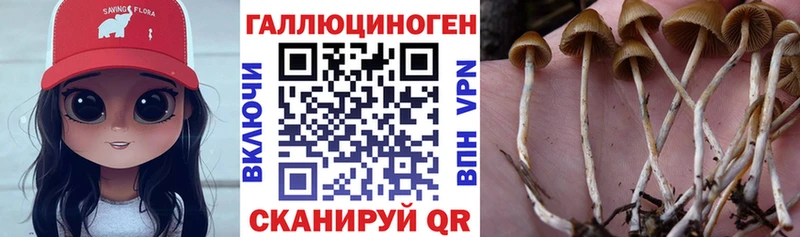 Купить закладки  Камешково  Псилоцибиновые грибы ЛСД 